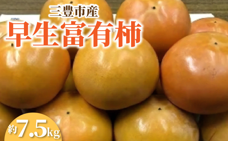 
            【ふるさと納税】【締め切り間近: 11月6日まで】【先行予約】【配送不可地域：北海道・沖縄県・離島】三豊市産早生富有柿 約7.5kg  ふゆう柿 5kg 以上 柿 カキ かき kaki 直送 新鮮 旬 美容効果 栄養価 送料無料 フルーツ 果物 お取り寄せ  詰め合わせ 詰合せ 秋 旬
          