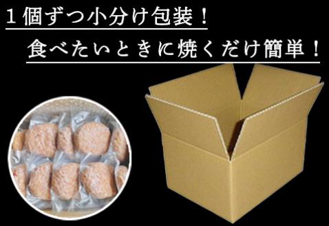 【7月中発送】1957年創業 特上ハンバーグ 140g×20個(合計2.8kg) 「唐津バーグ」商標登録済!! 冷凍真空パック 惣菜