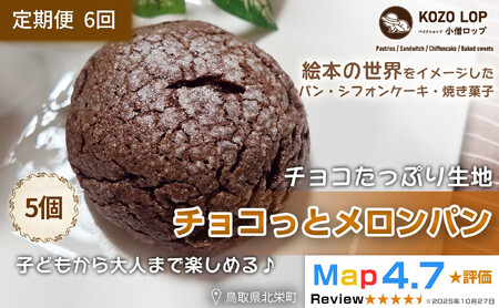 1173.【定期便6ヶ月】鳥取県産 チョコたっぷり生地 チョコっとメロンパン 5個×6回