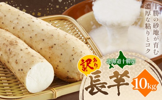 2026年 先行予約【訳あり】十勝豊頃産 ながいも 10kg 植村農場 《12月上旬-12月末頃出荷予定》北海道 豊頃町 長芋 山芋 とろろ 野菜 旬 特産 産地直送 農家直送 家庭用 まとめ買い 大容量 規格外