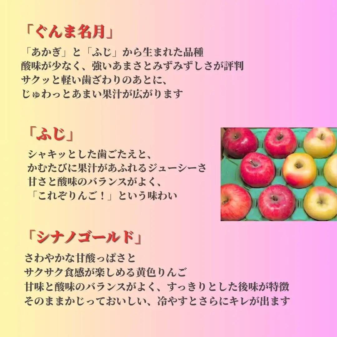 ぐんま名月×ふじ×シナノゴールド [優品] 味くらべセット 1段: 4 kg~5 kg (12個~18個) 【半蔵農園】 | りんご