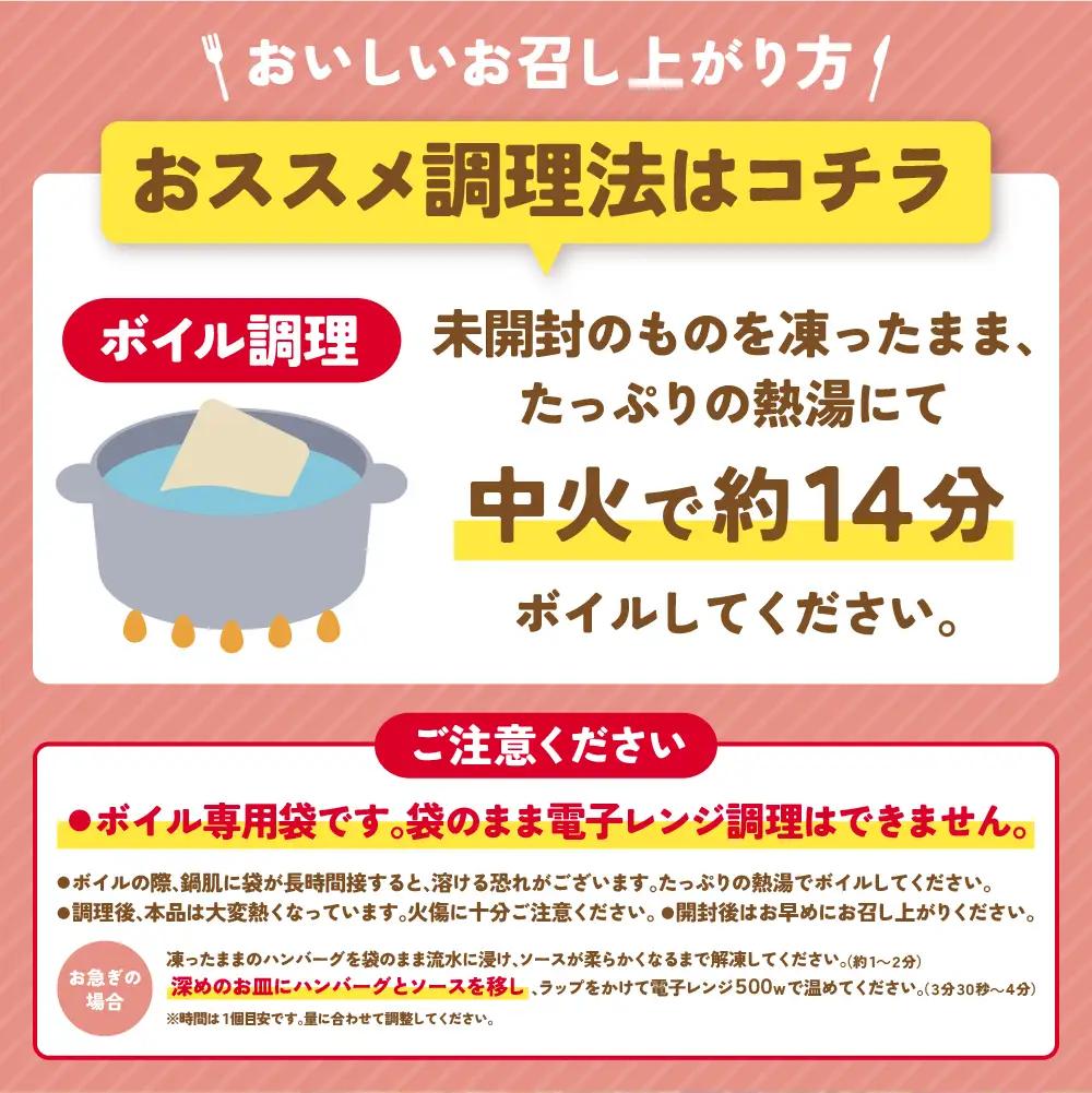 Z61-32 Best4バーグ 20個セット ハンバーグ