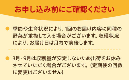 【16品 / 12回定期便】「よしのがり野菜」セット（ラージ）吉野ヶ里町/吉野ヶ里あいちゃん農園 減農薬 有機肥料 1年間 [FAA010]