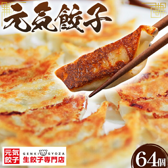 【ふるさと納税】げんき餃子64個セット 冷凍生餃子［No.011］／ギョーザ専門店 中華総菜 点心もちもち パリパリ
