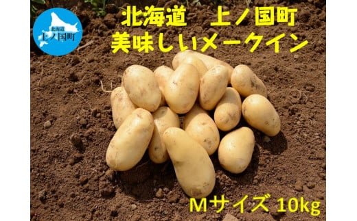 【2025年発送】山下農園のおいしい馬鈴薯「メークイン」　Mサイズ×10㎏