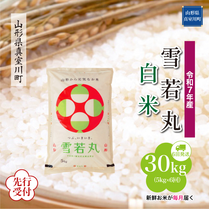 ＜令和7年産米先行受付＞ 真室川町産 雪若丸 【白米】30kg定期便 (5kg×6回)　配送時期指定できます！