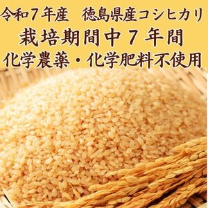 栽培期間中7年間化学農薬・化学肥料不使用　徳島県産コシヒカリ　5kg　玄米【1676515】