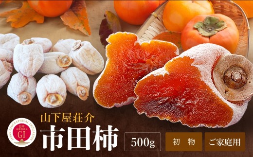 信州の特産品「市田柿」ご家庭用 500g 〈2027年1月中旬～2月下旬発送〉 | 山下屋荘介 果物 くだもの フルーツ 柿 かき 市田柿 長野県 信州 南信州 飯田市