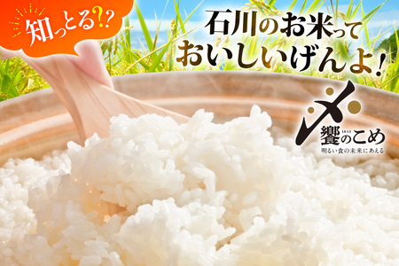米 無洗米 令和7年産 石川県産 ひゃくまん穀 10kg (5kg×2袋) [中橋商事株式会社 石川県 宝達志水町 38601325] 