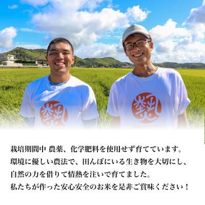 ふるさと納税 阿南市 【令和7年産　新米先行予約】コシヒカリ白米10kg《栽培期間中農薬・化学肥料不使用》徳島県阿南市産 |  | 01
