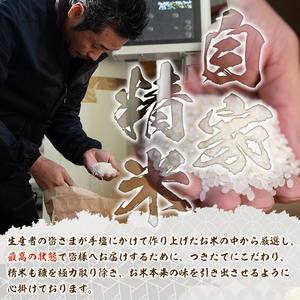 isa572 鹿児島県産！伊佐米ヒノヒカリ和～なごみ～ (計900g・300g×3個) 【神薗商店】