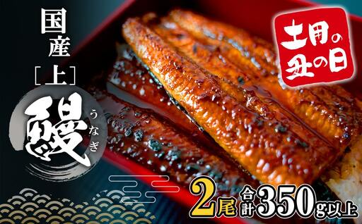 【土用の丑の日までにお届け】 国産 うなぎ 蒲焼 2尾 350g以上 鰻 蒲焼き K2185