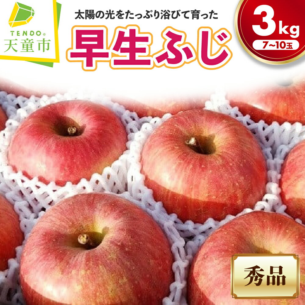 【ふるさと納税】 りんご ( 早生ふじ ) 3kg ふじ リンゴ わせふじ 果物 フルーツ 秀 7～10玉 のし 贈答 ギフト プレゼント おすそ分け お取り寄せ 秋 旬 期間限定 送料無料 先行予約 【 山形県 天童市 】