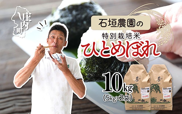 石垣農園の特別栽培米 ひとめぼれ 10kg 令和7年産 2025年産 ブランド米 山形県コシヒカリの原点、亀の尾発祥の地 庄内【030-024I】