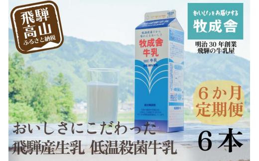 
                  【定期便６か月】飛騨産生乳100％！美味しい低温殺菌牛乳6本 乳製品 牛乳 牧成舎 DF106 ｜ 牛乳 定期便 ミルク 定期便 牛乳 定期便 ぎゅうにゅう 牛乳 ミルク 牛乳定期便 ミルク定期便 国産牛乳 生乳 乳製品 6回
                