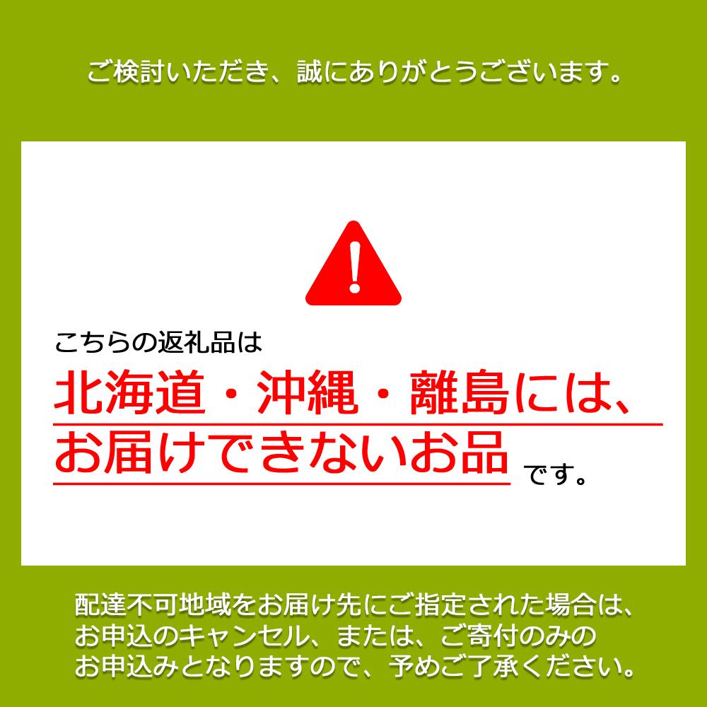【先行予約　2025年9月上旬発送〜】岡山県産シャインマスカット 1.0kg（2〜3房）【021-a019】 1.0kg（2〜3房）