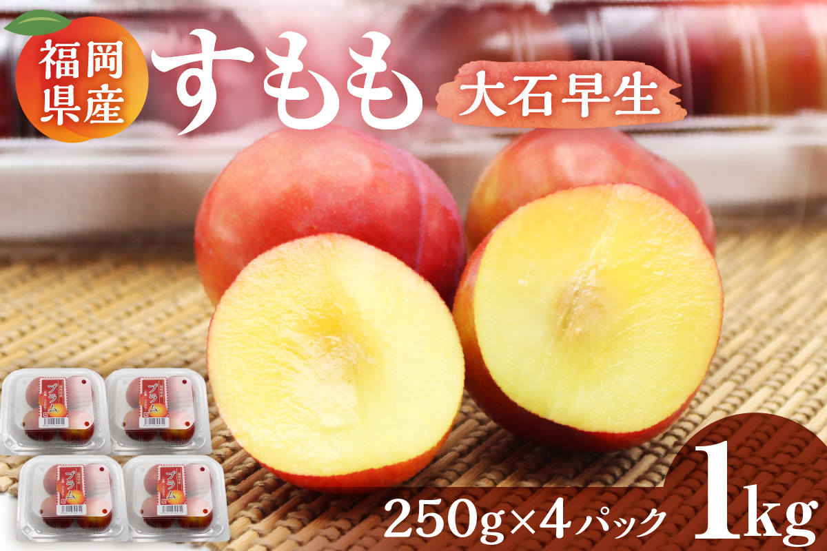 【JAむなかた すもも部会より】すもも(大石早生)1kg(250g×4パック)【JAほたるの里】_HA1254