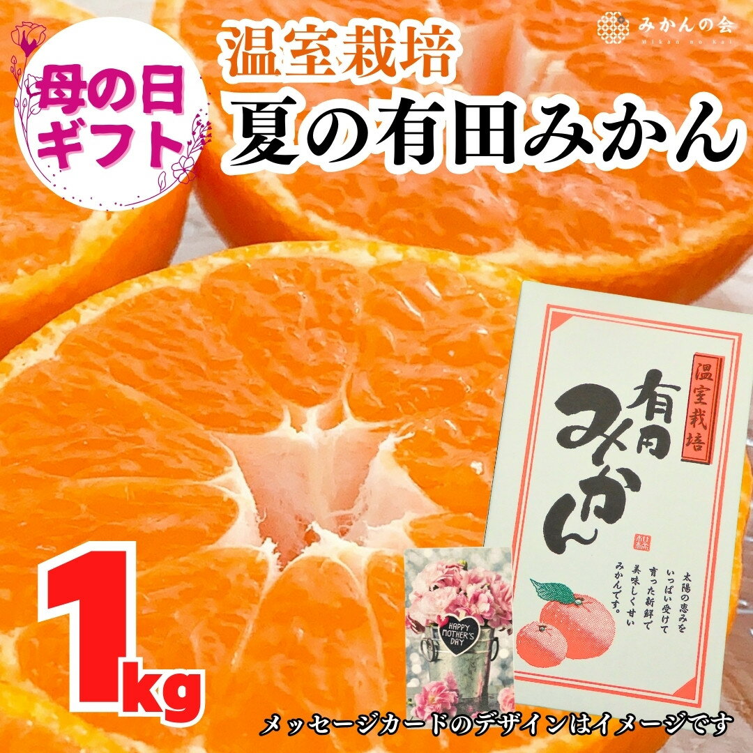 【ふるさと納税】【母の日ギフト】ハウスみかん 温室栽培 夏の有田みかん 1kg 秀品 L M Sサイズのいずれか 和歌山県産 産地直送 【みかんの会】 | みかん 蜜柑 フルーツ 果物 くだもの ジュース飲料 果実飲料 ドリンク 食品 人気 おすすめ 送料無料