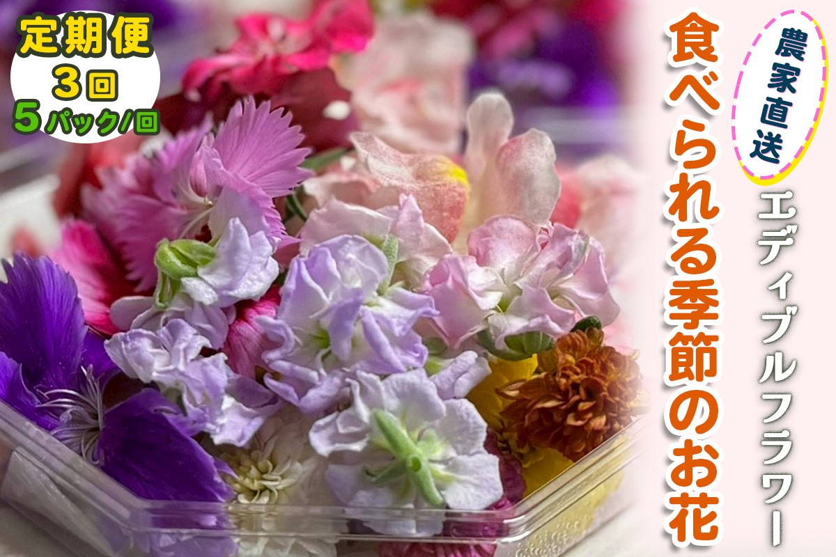 [定期便3回] 農家直送！加藤さんちのエディブルフラワー 5パック (1パックあたり季節のお花15輪から30輪)｜食用 花 お花 野菜 トッピング 付け合わせ [1522]