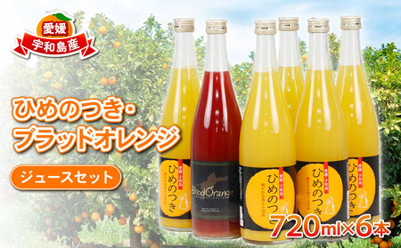柑橘 ジュース ひめのつき ブラッドオレンジ セット 720ml×6本 えひめ南農業協同組合直販センター JA  柑橘柑橘柑橘柑橘柑橘柑橘柑橘柑橘 H020-009010