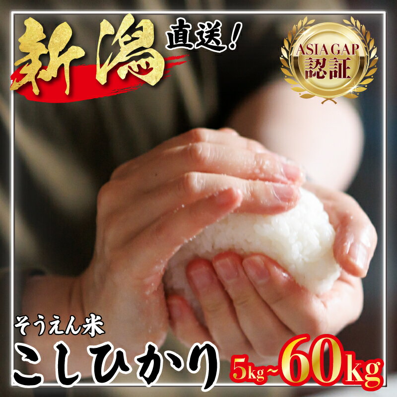 【ふるさと納税】 R7年産 コシヒカリ 5〜60kg 単品 定期便 3回 6回 5kg 10kg 15kg 30kg 60kg 新潟県産 そうえん米 お米 米 こしひかり 新潟米 新潟 新発田産 精米 玄米 対応可 送料無料 ふるさと納税米定期便 ふるさと納税お米定期便 とんとん市場 せいだ D512