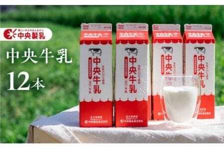 牛乳 1L×12本 牛乳 中央製乳