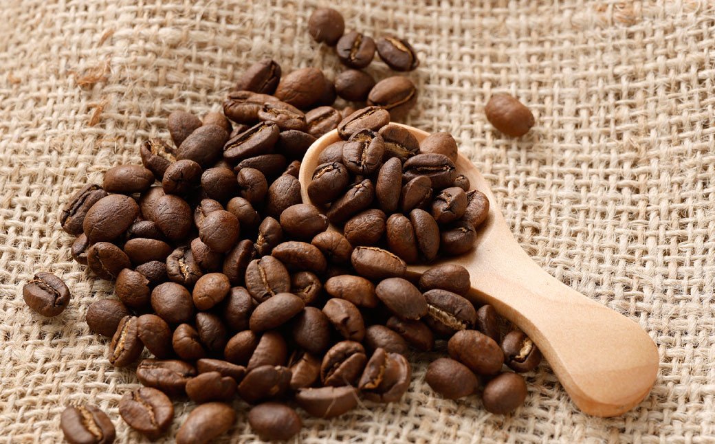 【3ヶ月定期便】コーヒー豆 500g（豆）オリジナルブレンド業務用珈琲専門店の味 スペシャルティコーヒー コーヒー 珈琲 ブレンド coffee