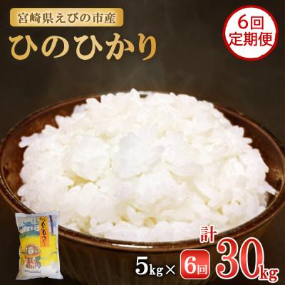 ふるさと納税 えびの市 【毎月定期便】えびの産 ひのひかり 5kg全6回
