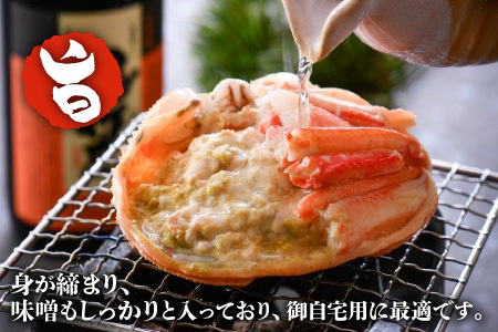 【先行予約】名人が茹でる とれたて指折れ越前がに(小) 2～3杯【3月発送分】 [C-4352_03]