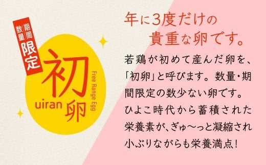 【定期便】たまご 佐賀鹿島産 平飼い初卵「うみとやまとこっこ」 上田養鶏場 たまご60個×3回 タマゴ 玉子D-117