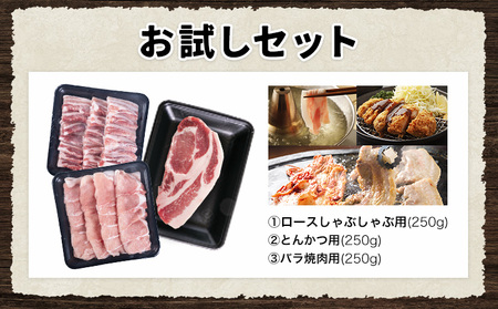 豚肉 バラエティセット 約750g《9月出荷》 豚肉豚肉豚肉豚肉豚バラロース小分け
