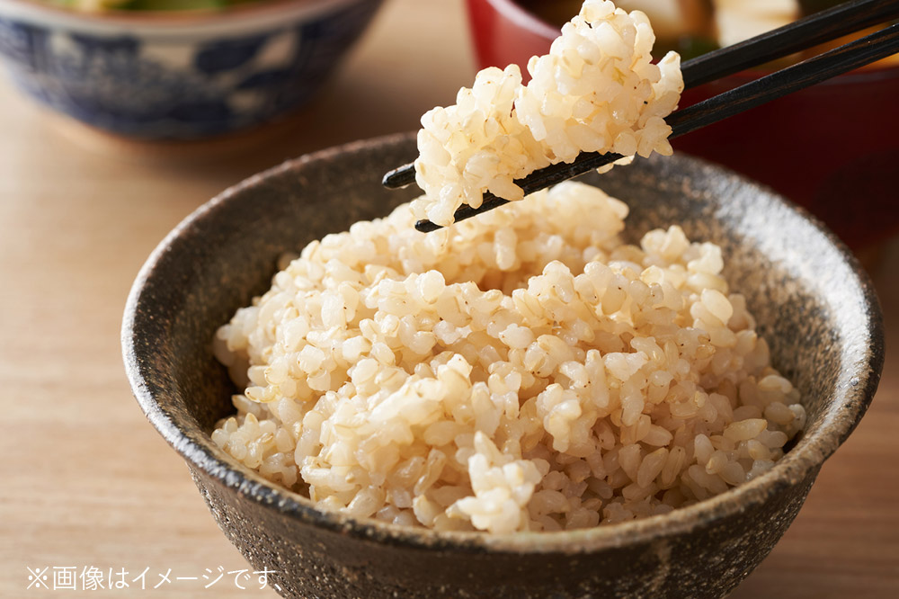 ＜令和7年産＞「秋田県男鹿市北浦産」あきたこまち（玄米）10kg（5kg×2袋）
