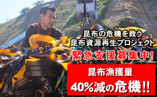 
            雑海藻から海を守り、日本の食文化である昆布の漁場の再生支援寄附 ＜１口 100,000円 より＞ | 返礼品なし 緊急支援 昆布 こんぶ 100000円 北海道 釧路町 釧路超 特産品
          