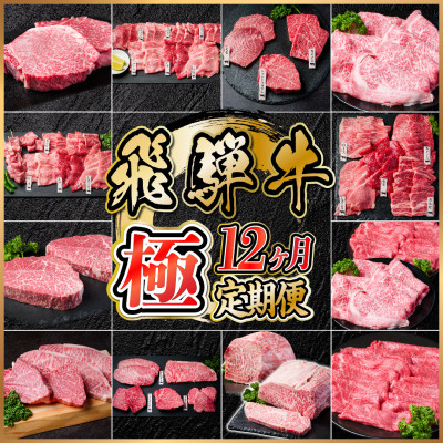 
            ＜毎月定期便＞飛騨牛 極定期便 計12.9kg＜冷蔵便＞A4～A5等級 シャトーブリアンほか全12回_定期便 肉 飛騨牛 ブランド牛 ステーキ 焼肉 しゃぶしゃぶ ローストビーフ 冷蔵 人気 おすすめ 送料無料 贈答 ギフト【4055987】
          