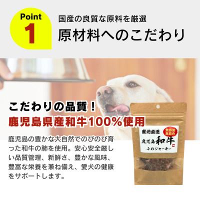ふるさと納税 久留米市 産地直送 鹿児島 和牛ふわジャーキー 20g×30袋セット(久留米市) |  | 01
