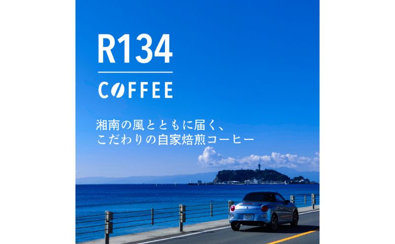 R134 COFFEE ?ジャマイカ ブルーマウンテン No.1【自家焙煎 100g x 2袋】