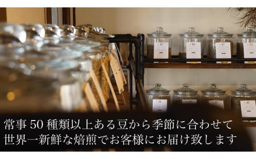 【山の焙煎所】スペシャルティコーヒー12ヶ月定期便：豆