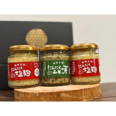 ふるさと納税 宗像市 にんにく塩 2本　にんにくの芽みそ1本【むなかたひかり】_HA1597