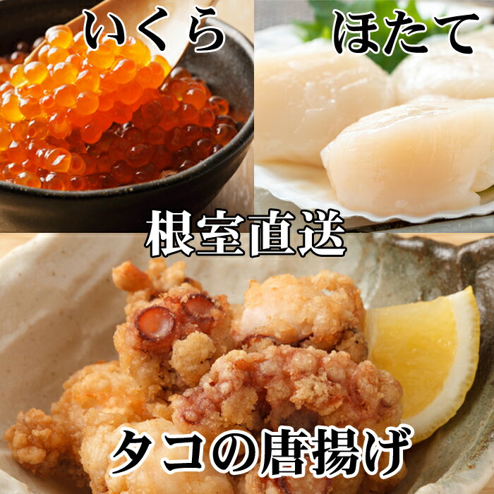 【ふるさと納税】 たこ唐揚げ 250g × 2P、ほたて貝柱 500g × 1P、いくら醤油漬け 100g × 1P ホタテ ほたて 帆立 帆立貝柱 ホタテ貝柱 貝柱 蛸 タコ お取り寄せ グルメ 海鮮 からあげ 魚卵 北海道 根室市 ふるさと納税 C-76044