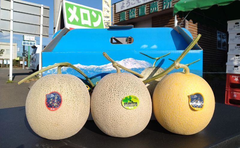 【2026年夏発送】 メロン 期間限定！　数量限定 3種 食べ比