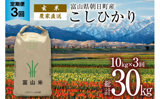 
            【3ヶ月定期便】玄米 こしひかり 10kg 計30kg   [有限会社 クリーンみず穂 富山県 朝日町 34310448] 米 お米 コシヒカリ コメ ご飯 ごはん 白米 農家 直送 一等米
          