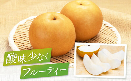 梨【2025年9月中旬から順次発送】特選 あきづき 梨 2kg（5個から7個入り）[AGBD008]