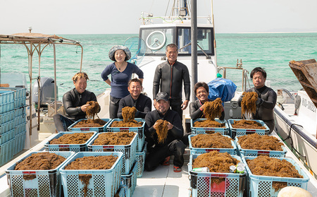 もずく 海洋深層水で洗い急速冷凍した久米島産！早摘み生もずく 500g  モズク 海藻