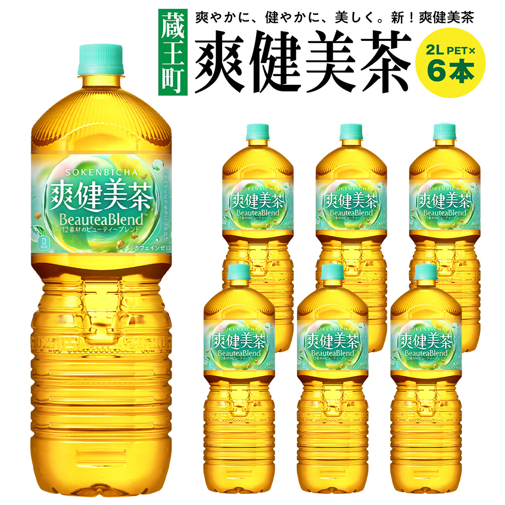 爽健美茶2LPET×6本　【04301-0528】