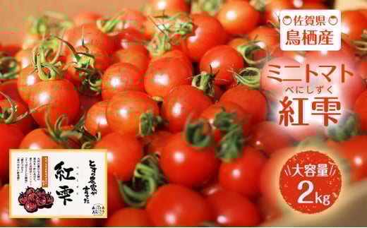 トマト 佐賀県鳥栖産 ミニトマト 紅雫 (べにしずく) 大容量 2kg！ 野菜