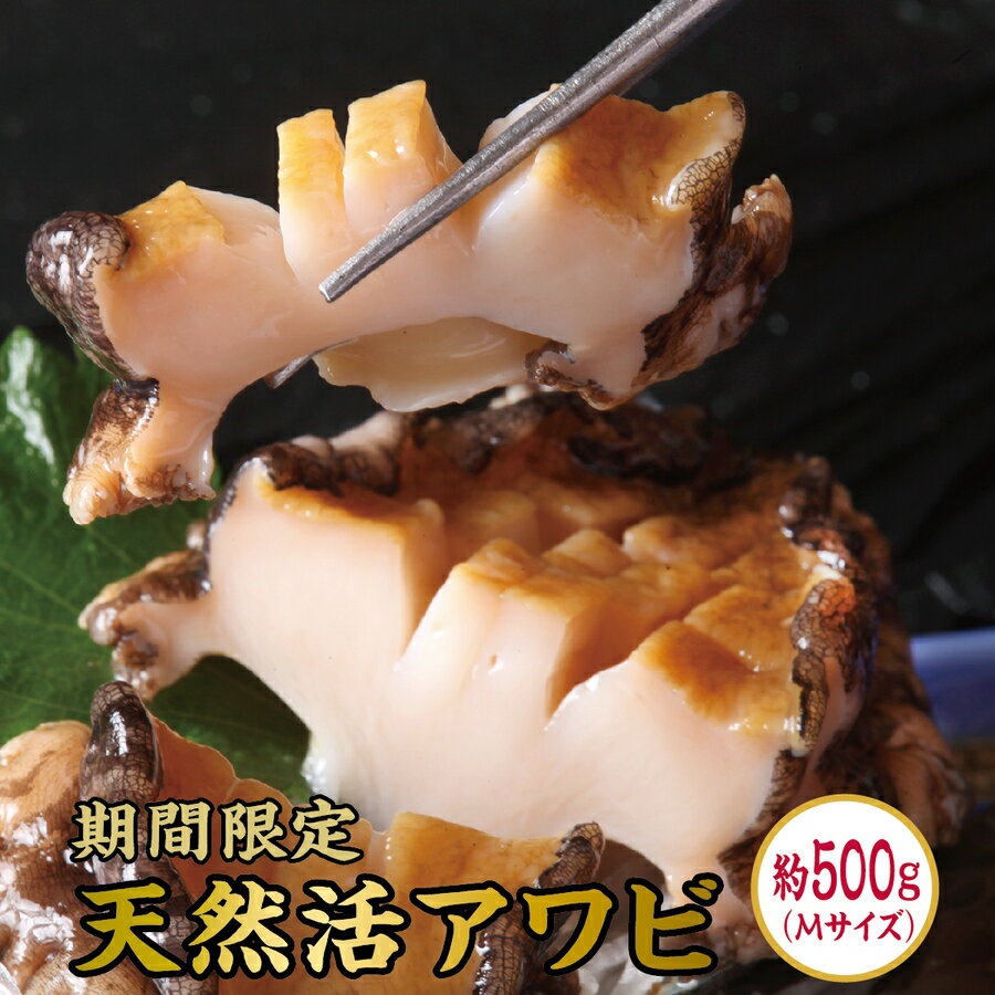 【ふるさと納税】【期間限定】活アワビ 約500g Mサイズあわび 海鮮 高級グルメ 北海道 特産品 新鮮 美味しい 簡単調理 ご飯のお供 刺身 焼き物 贅沢 お取り寄せ 和食 人気