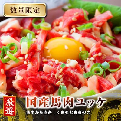 ふるさと納税 菊池市 【馬刺し】熊本直送　ブロック　赤身300g・ユッケ300g　合計600g(菊池市)