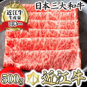 【ふるさと納税】【4等級以上】【カネ吉山本】近江牛［特］すきやき用サーロイン【500g】【牛肉】【牛】【A4】【A5】【すき焼き】【国産】 すき焼き肉