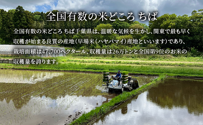 新米　令和7年 粒すけ 5kg 千葉産 乾式 無洗米　【 お米 こめ コメ おこめ 】