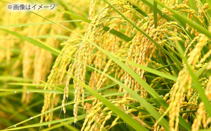 島根が誇るブランド米！仁多米「大峠源流米」2kg（2kg×1）島根県松江市/有限会社藤本米穀店 [ALCG030]